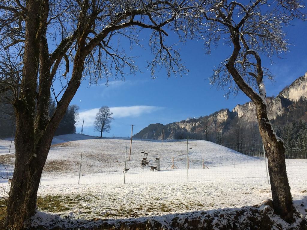 Hotel Berghof Haselsberger à St. Johann in Tirol Extérieur photo