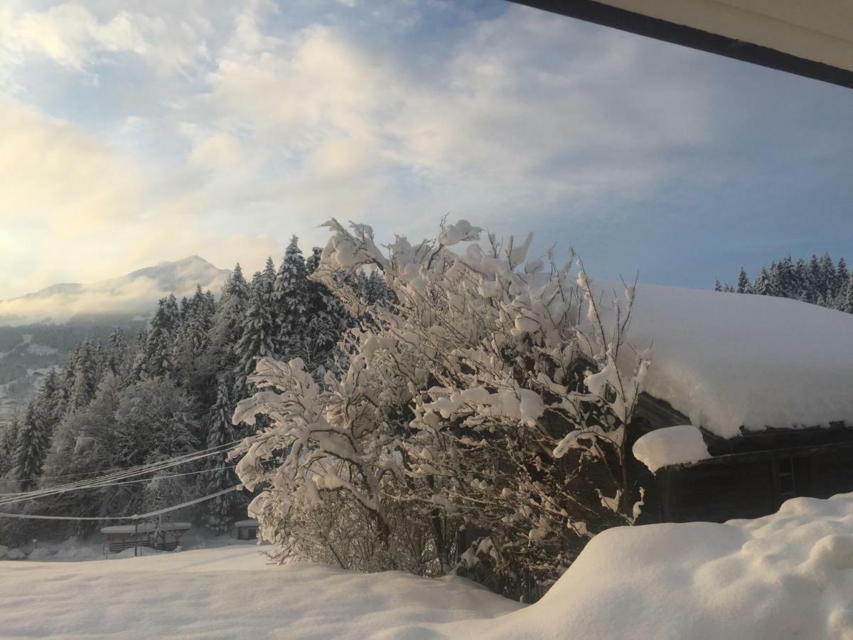Hotel Berghof Haselsberger à St. Johann in Tirol Extérieur photo